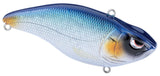 Blue Shiner