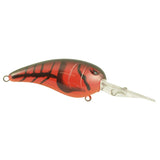 Red Bug