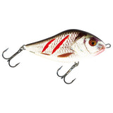 Wounded Real Grey Shiner