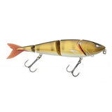 Golden Zander