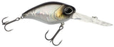 Baitfish