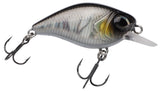 Baitfish