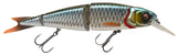 Roach