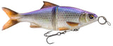 Blue Roach