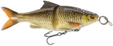 Horny Bream