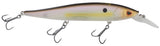 Sexy Shad