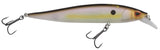 Sexy Shad