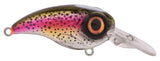 Rainbow Trout