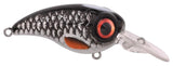 Roach