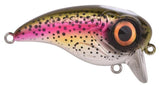 Rainbow Trout