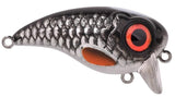 Roach