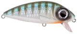 Herring