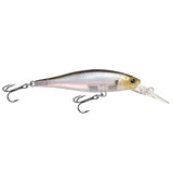 Ghost Minnow