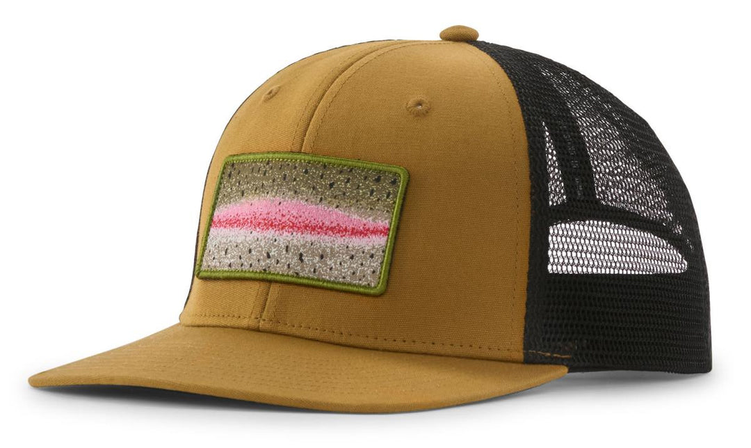 Patagonia Take a Stand Trucker Hat Rainbow Run Bobcat Brown