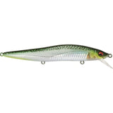 Mackerel