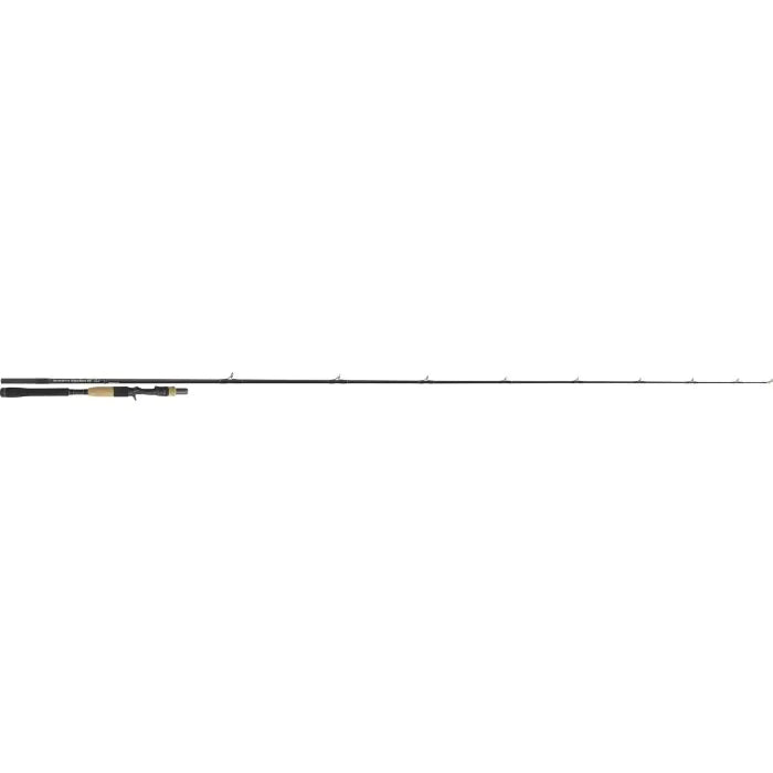 Tenryu Injection BC 73 H Pike Special