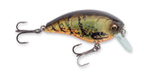 Dashy Craw