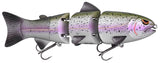 Rainbow Trout