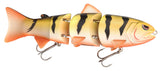 UV Gold Perch