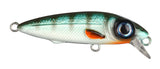 Herring