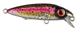 Rainbow Trout