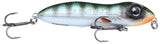 Herring