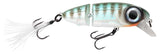 Herring