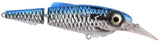 Silverfish