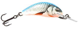 Dace Blue