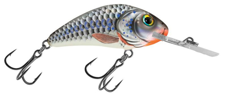 Salmo Rattlin&