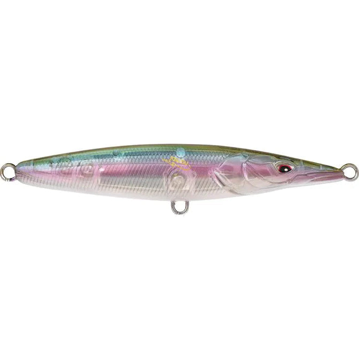 Xorus Asturie 110