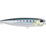 Sardine