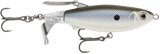 Black Back Shad