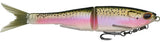 Rainbow Trout