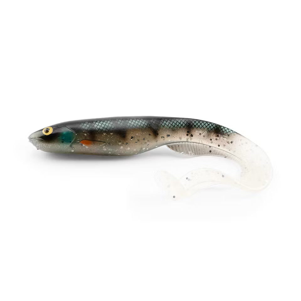 Gator Catfish - 35cm