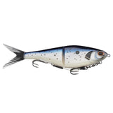 Baitfish