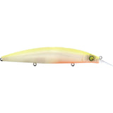 PM Hot Shad