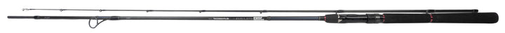 Daiwa Tournament SW AGS - 240cm &amp; 14-42 gram - Pre-Owned