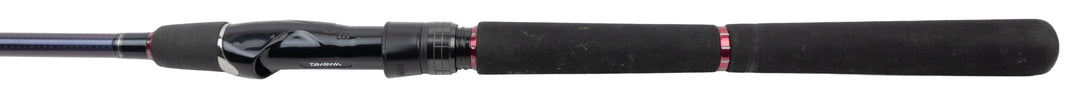 Daiwa Tournament SW AGS - 240cm &amp; 14-42 gram - Pre-Owned