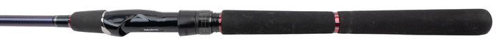 Daiwa Tournament SW AGS - 240cm &amp; 14-42 gram - Pre-Owned