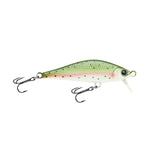 Rainbow Trout