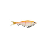 Albino Trout