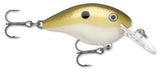 Lemon Shad