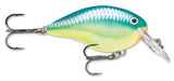 Carribean Shad