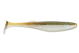 Arkansas Shiner