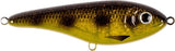 Spotted Bullhead C713G