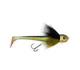 Tench