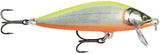 Gilded Chartreuse Orange Belly