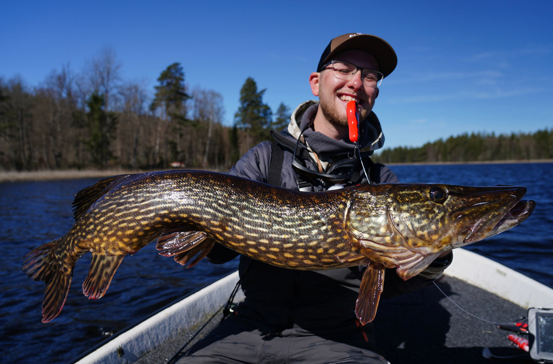 Smartlures Goes Sweden - 17 t/m 24 oktober 2026