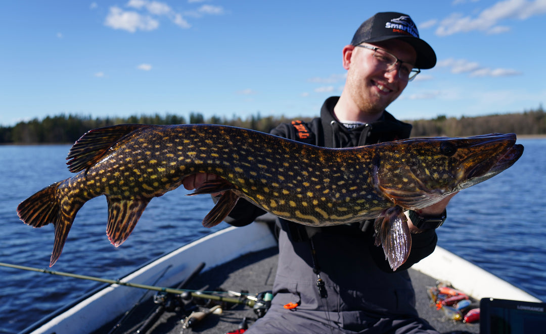 Smartlures Goes Sweden - 17 t/m 24 oktober 2026